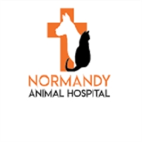  Normandy Animal Hospital