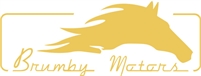  brumby motors