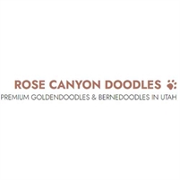 Rose Canyon Doodles Rose Canyon Doodles