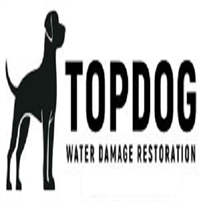  TopDog Water Damage Restoration of Davie