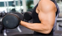  whey protein  powder
