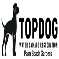  TopDog Water Damage Restoration Palm Beach Gardens