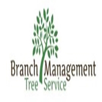 https://aztreedoctor.com/ Tree Service