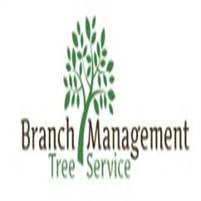 https://aztreedoctor.com/ Tree Service
